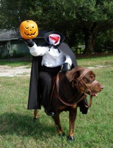 halloween costume dog